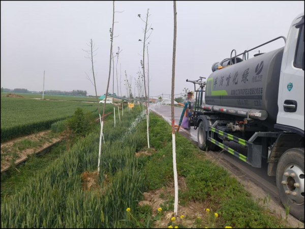 股票配资规则 濉溪县百善镇前营村：多举措开展新栽苗木管护 巩固春季植树成果_大皖新闻 | 安徽网
